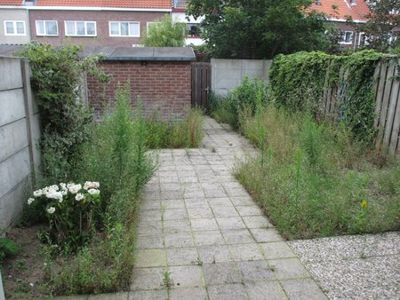 2016-07-26 Tuin opknappen